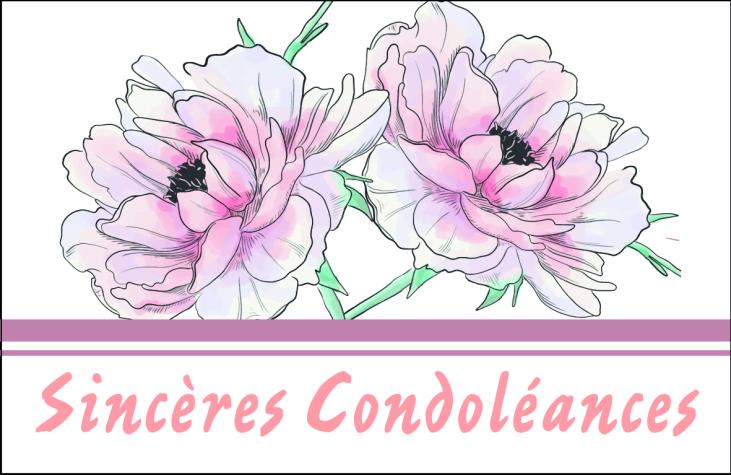 8070 - Carte double Sincères condoléances