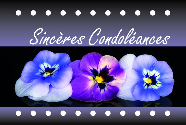 9162 - Carte simple Sincères condoléances