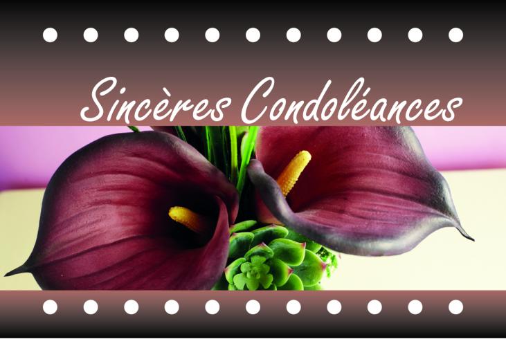 9164 - Carte simple Sincères condoléances