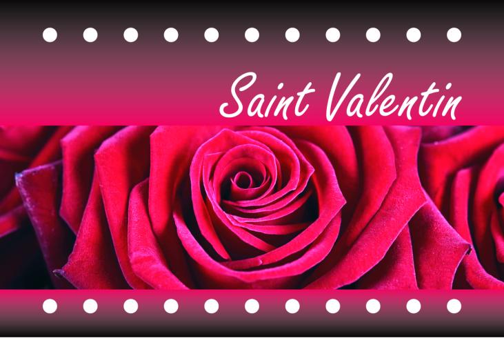 9662 - Carte simple Saint Valentin